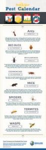 Utah Pest Calendar - Beeline Pest Control