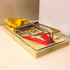 mouse trap methods of pest control
