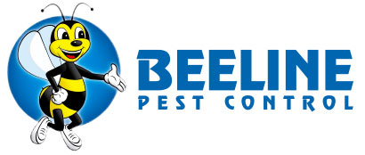 Beeline-Pest-Control-Utah