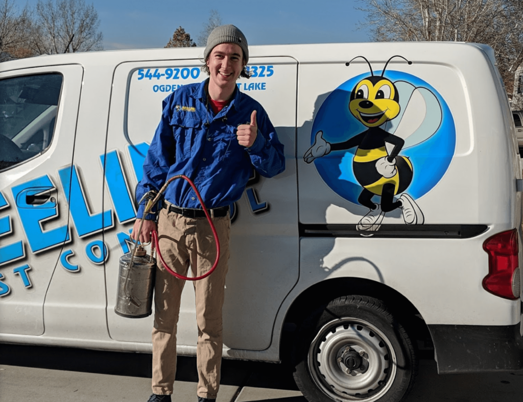 beeline pest control technician