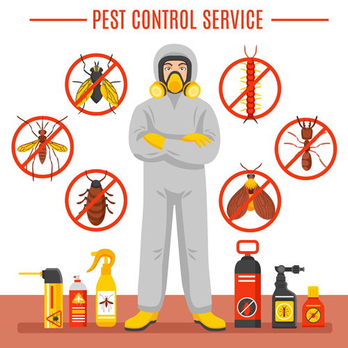 bed bugs control service illustration