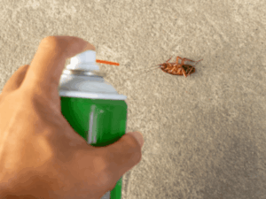 Insecticide spray