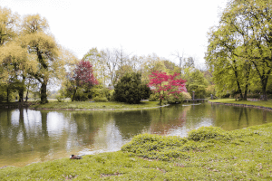 Green park
