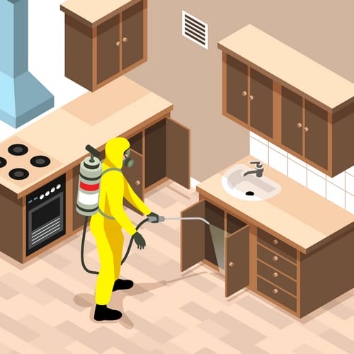 Isometric Pest Control Illustration