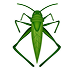 Moths Removal in Utah