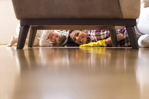 pest-free home pest-free home