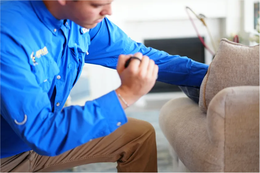 beeline pest control