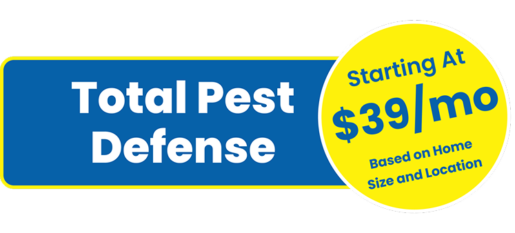 price banner beeline price banner beeline
