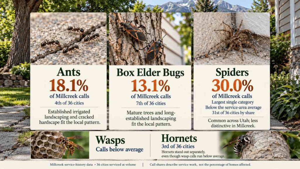Ants, box elder bugs and the everyday work